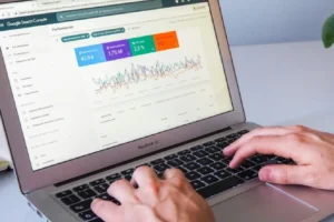 A person doing SEO on GSC