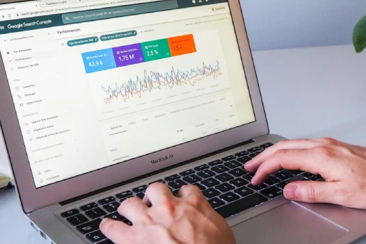A person doing SEO on GSC